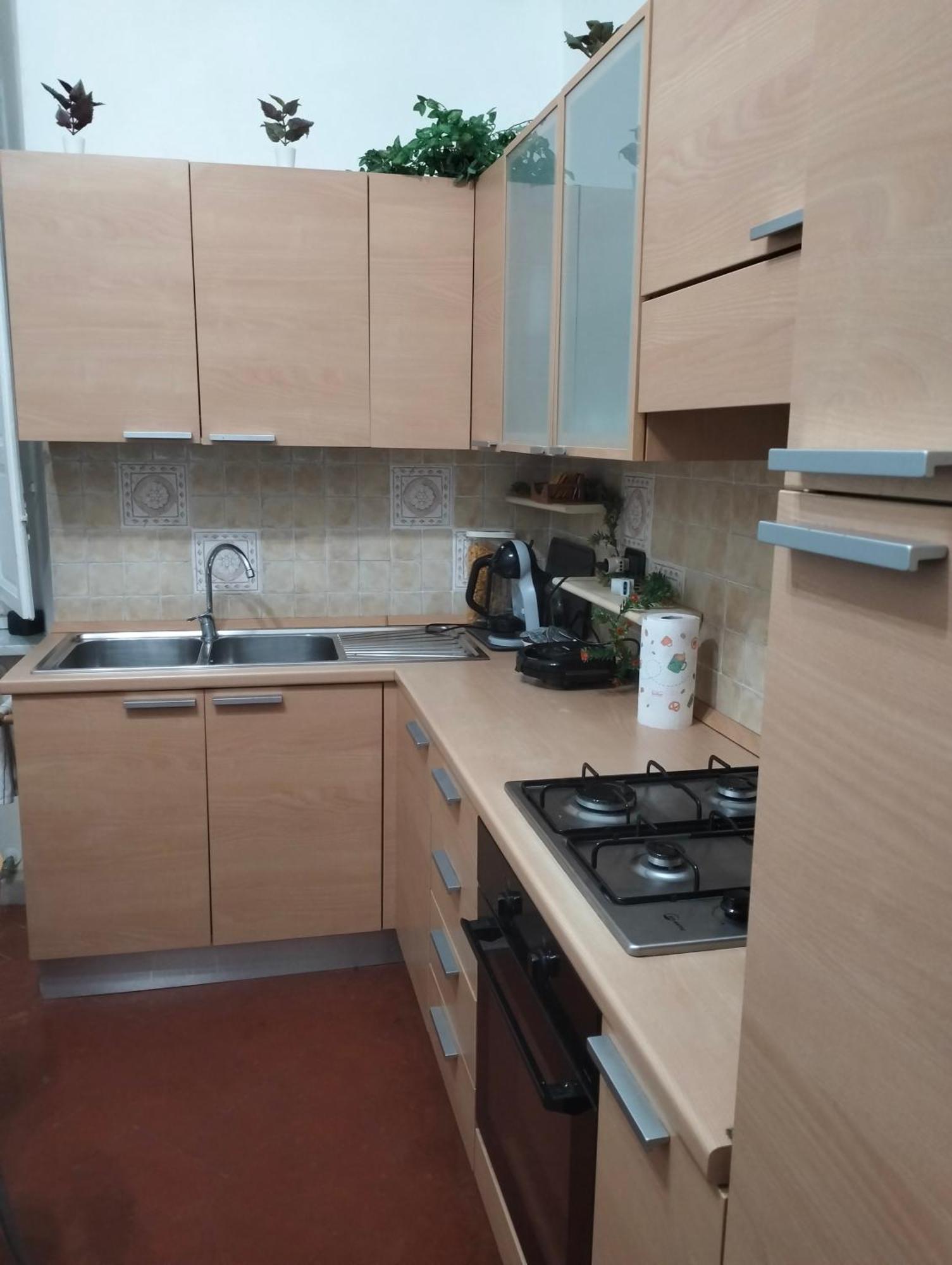 Palace Comfort Inn Pisa Eksteriør billede
